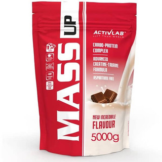 گینر مس اکتیولب 5 کیلوگرم ACTIVE LAB MASS UP